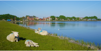 Martin Georg - Groemitz-Foto