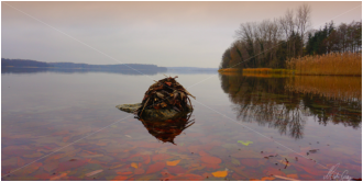 Martin Georg - Groemitz-Foto