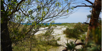 Martin Georg - Groemitz-Foto