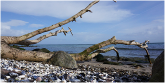 Martin Georg - Groemitz-Foto