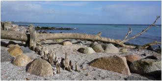 Martin Georg - Groemitz-Foto