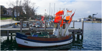 Martin Georg - Groemitz-Foto