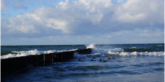 Martin Georg - Groemitz-Foto