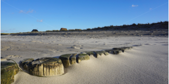 Martin Georg - Groemitz-Foto