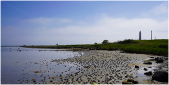 Martin Georg - Groemitz-Foto