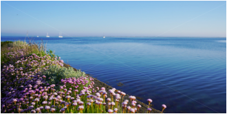 Martin Georg - Groemitz-Foto